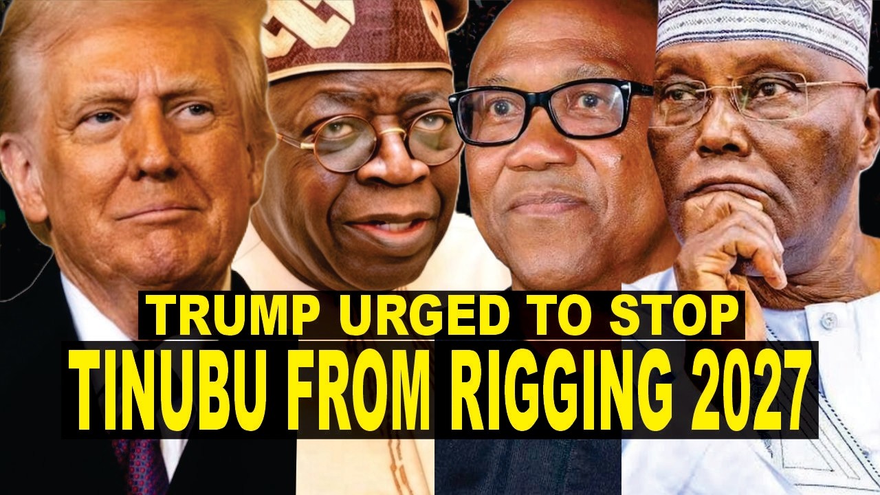 Trump Must Demand Free Elections Or Tinubu Will Bulldoze 2027 - Arnold, Odinkalu Calls No Opposition