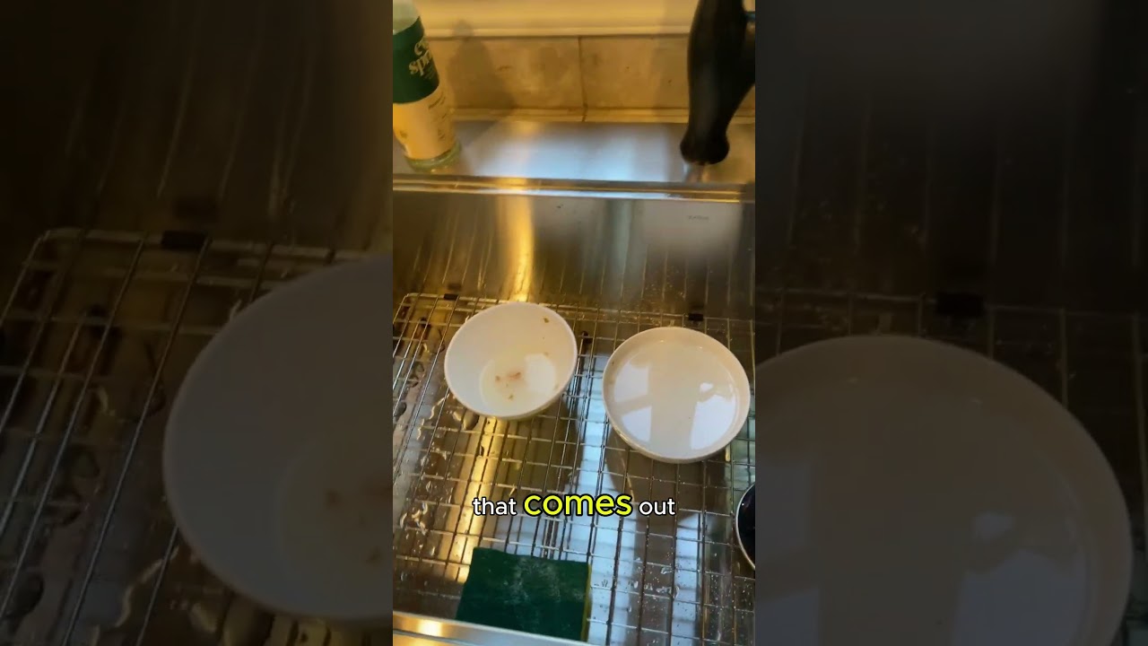 kraus sink reviews complaints #cute #kitchen #shorts #viralvideo
