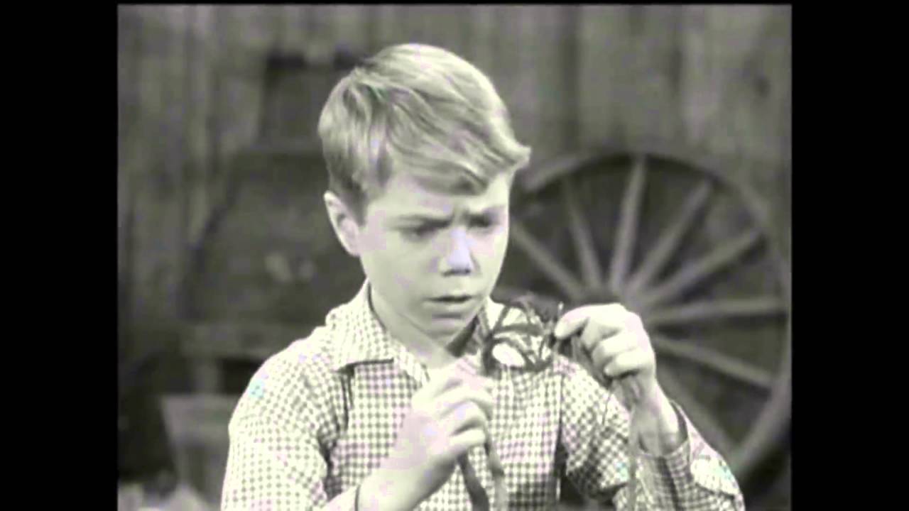 Lassie - Episode #320 - 