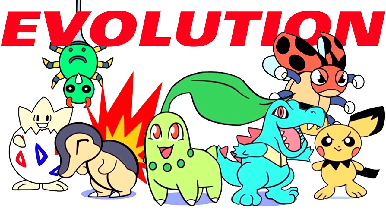 POKEMON EVOLUTIONS ANIMATED Part 7 (152 - 176)