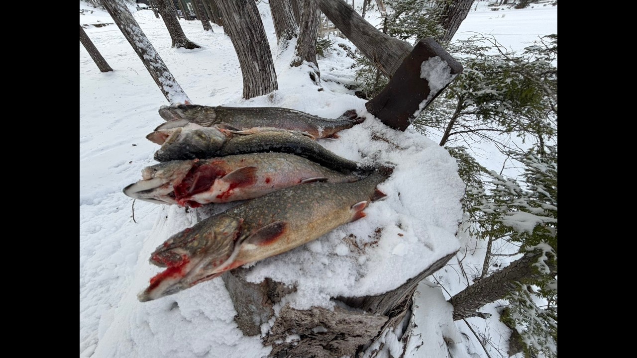 being the first people to ice fish in the US in 2026 and catching a ton of brook trout