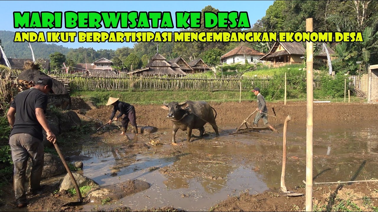 Mari Berwisata Ke Desa. 100% Menikmati Suasana Kampung Yang Sangat Asri Tanpa Adanya Rekayasa.