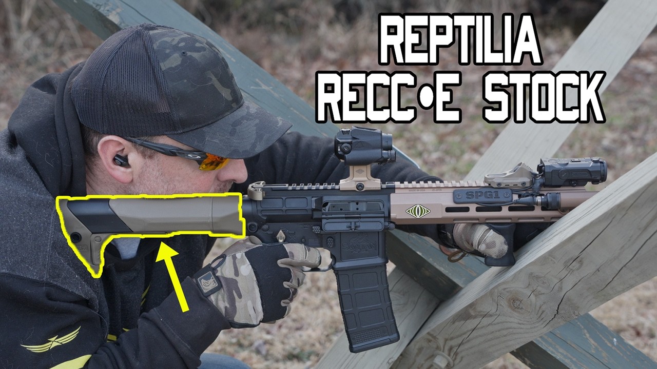Stock Reptilia RECC-E — обзор