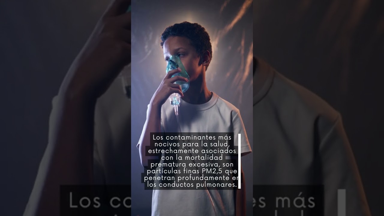 La contaminaci&oacute;n del aire