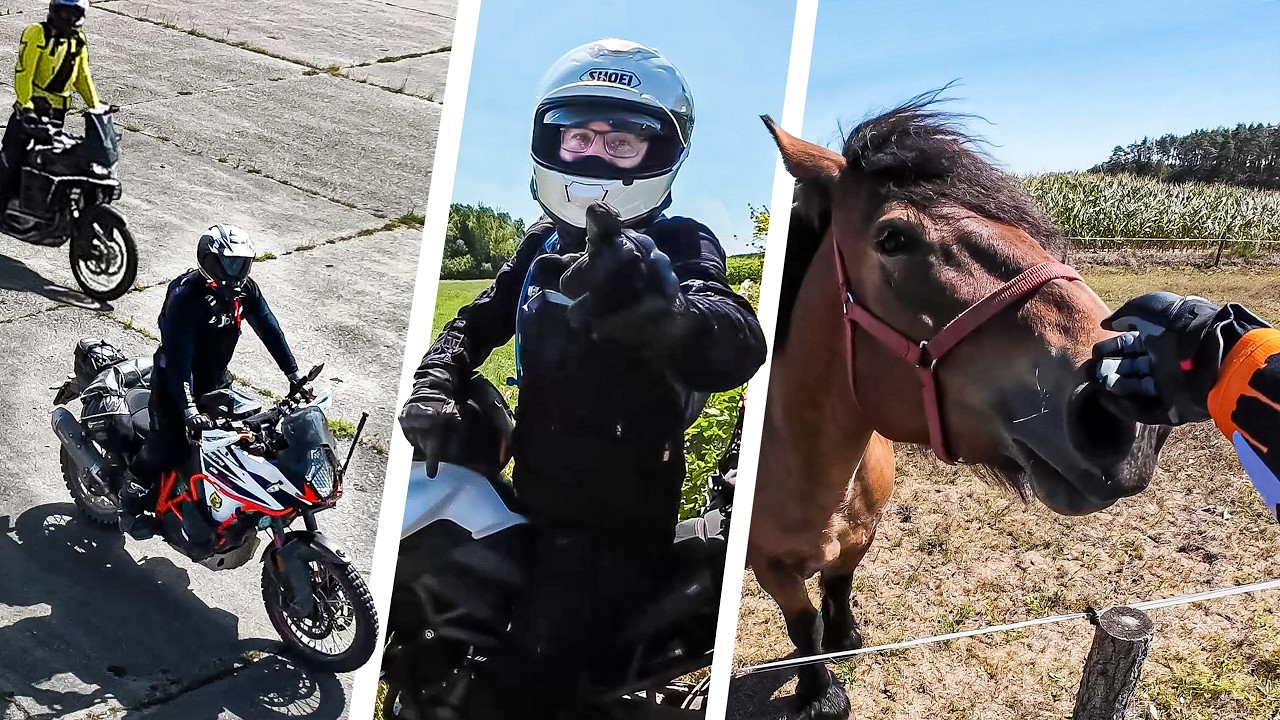 Rozpoznani na TET, Kurnik Artysty, Głaskanie Konia i Odgłosy Miłości | TETowe Opowieści 7 P&oacute;łnoc