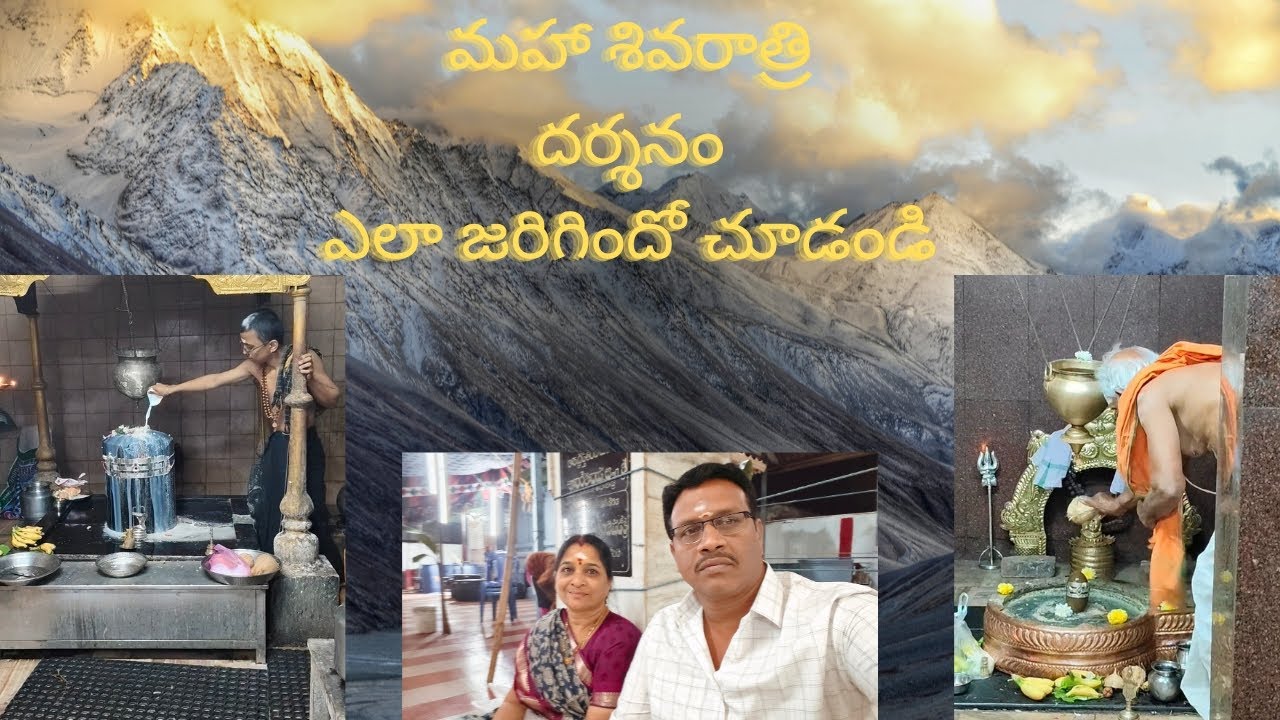 మహా శివరాత్రి దర్శనం ఎలా జరిగిందో చూడండి #trending #youtubeshorts#youtubevideos #lathakrishna 