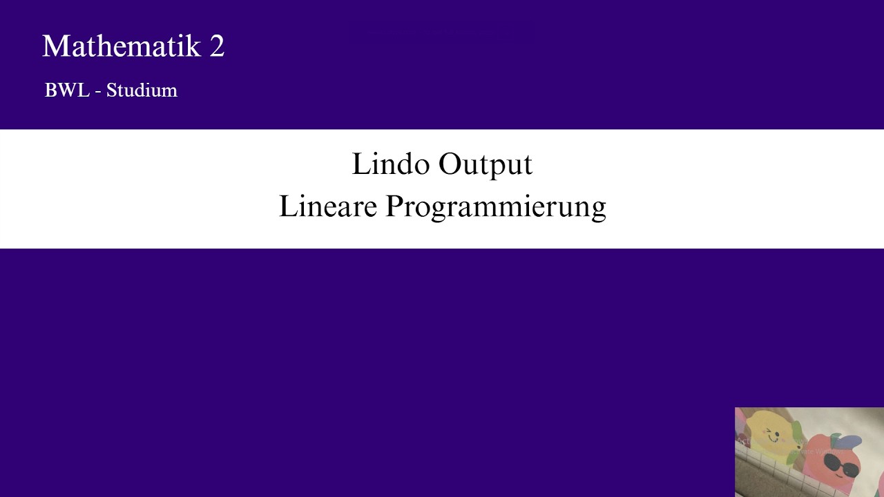 Lindo Output Teil 1 - Lineare Programmierung (Mathe 2)