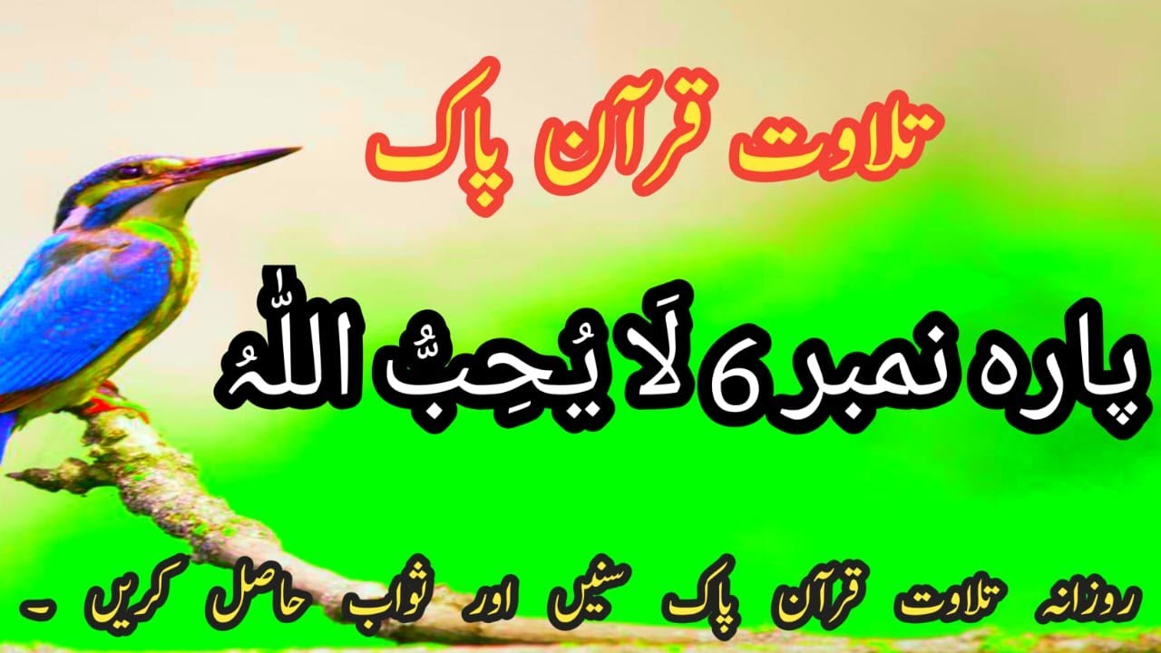 Quran Para 06 Full | complete para six full HD arabic text | quran recitation para 6 in Quran