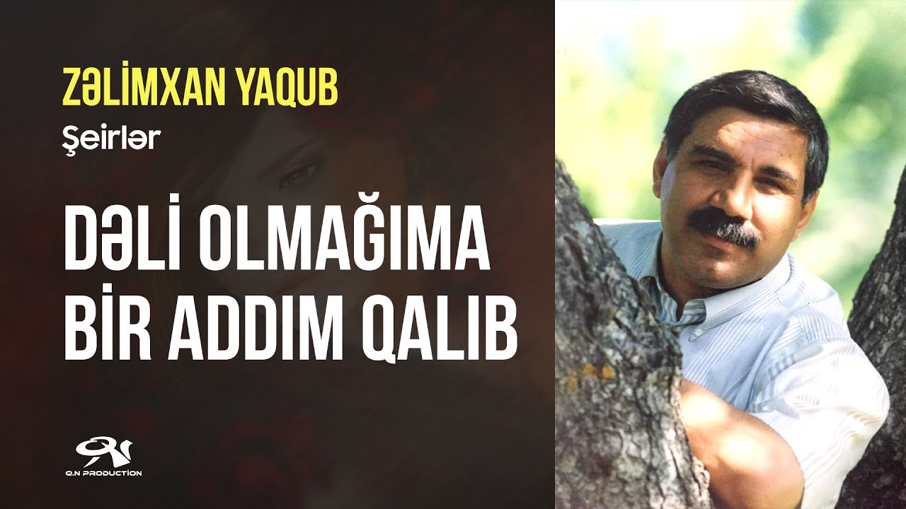 Dəli olmağıma bir addım qalıb - Zəlimxan Yaqub / öz səsi ilə / şeirlər #zelimxanyaqub