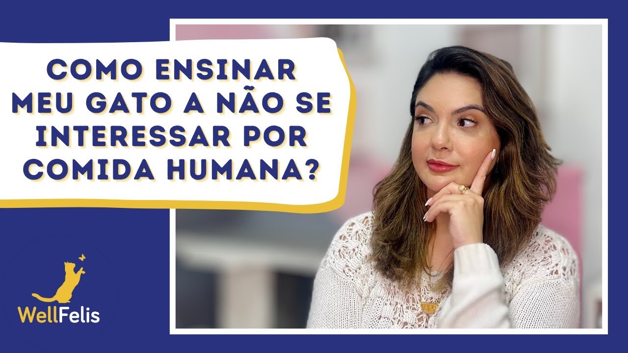 Como ensinar meu gato a n&atilde;o se interessar por comida humana?