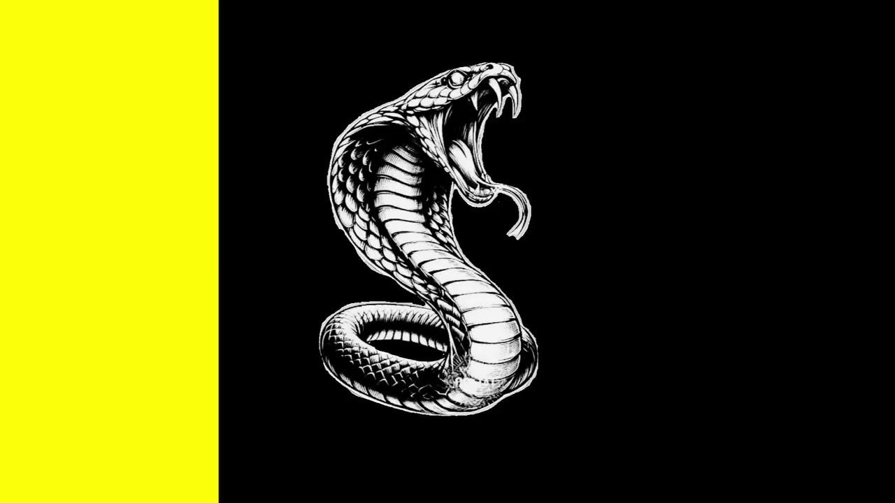 HARD DARK TYPE BEAT - 