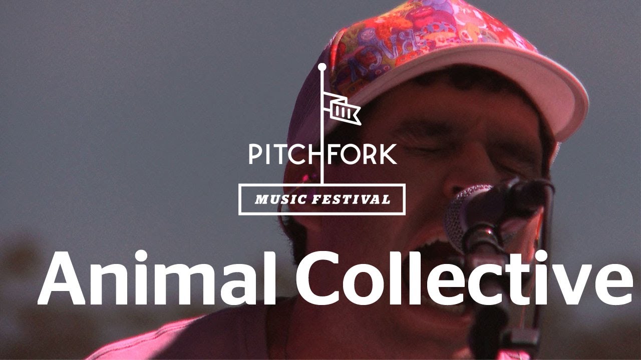 Animal Collective perform 