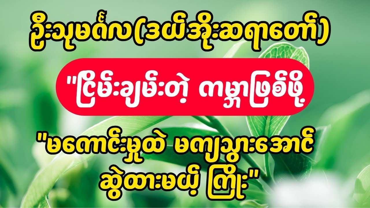 မြန်မာပြည်ကြီး အေးချမ်းဖို့ ဒီအချက်ကို အရင်ပြင်ပါ - ဦးသုမင်္ဂလ (ဒယ်အိုးဆရာတော်) #တရားတော်များ 