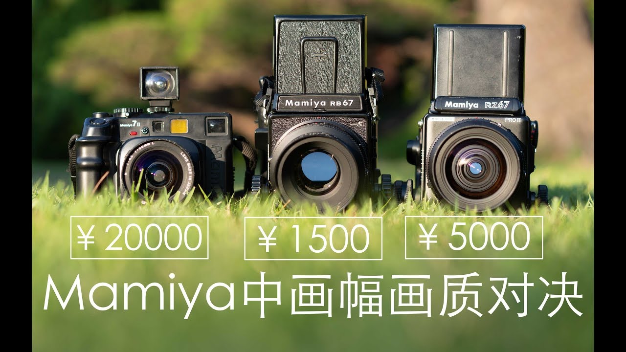 1500块的相机画质居然不输2万的？！ 最硬核的胶片相机画质对比