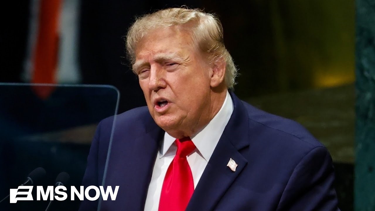 &lsquo;The world&rsquo;s respect for us is gone&rsquo;: GOP strategist says Trump has &lsquo;alienated&rsquo; U.S. from our allies