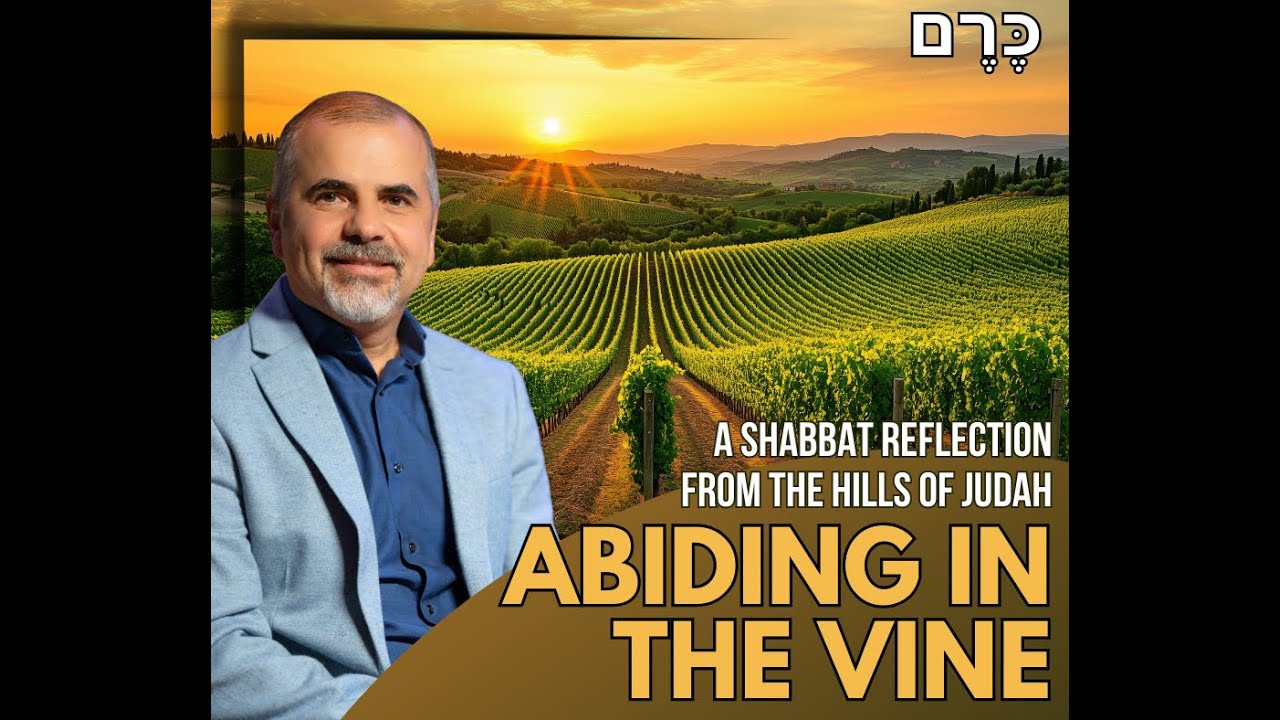 Abiding in the Vine — A Shabbat Reflection from the Hills of Judah