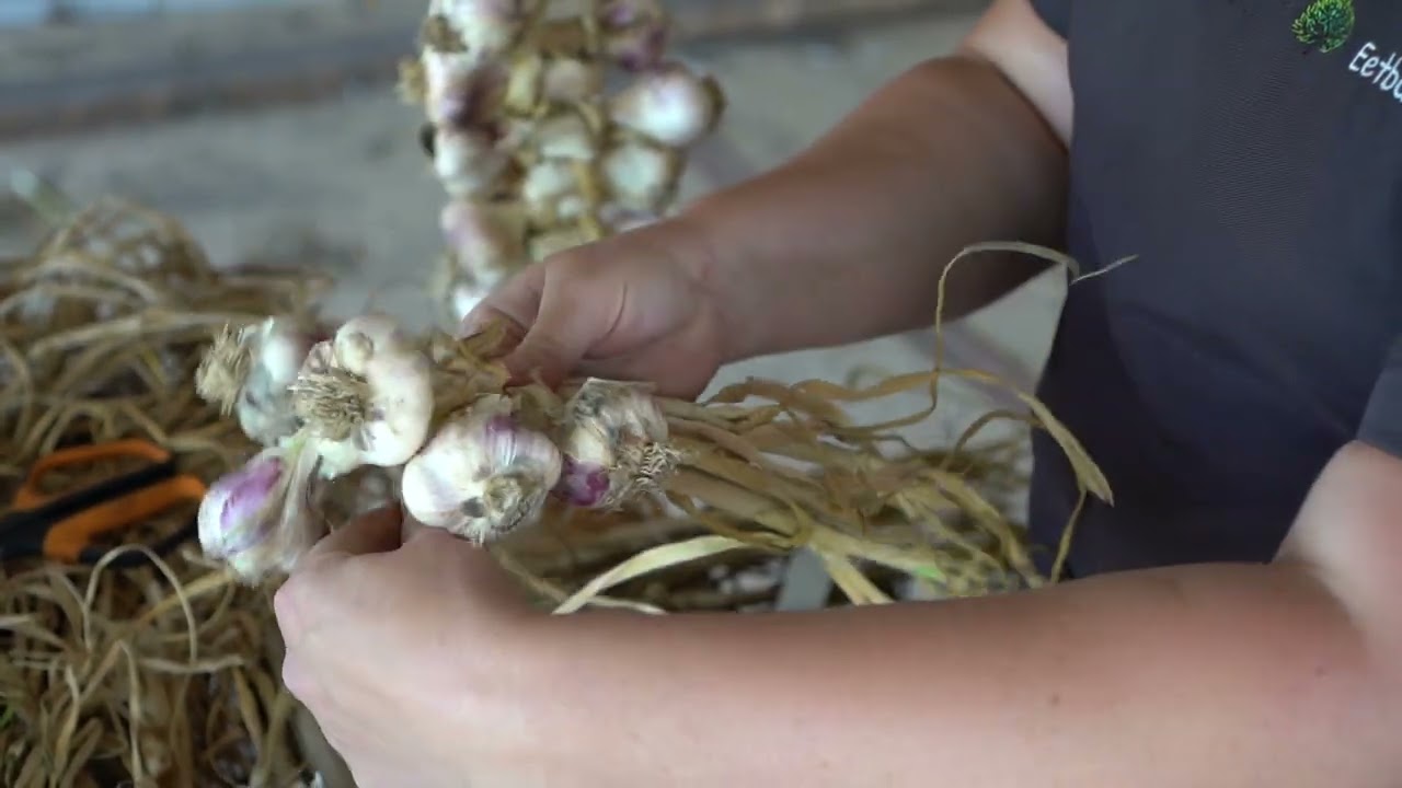 Hoe kan ik knoflook op een mooie manier vlechten? Esther laat het zien!