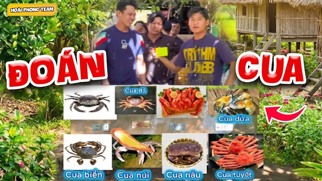 Trò Chơi Đoán Tên Cua Trúng Thưởng Cười Té Ghế | Team Hoài Phong TV