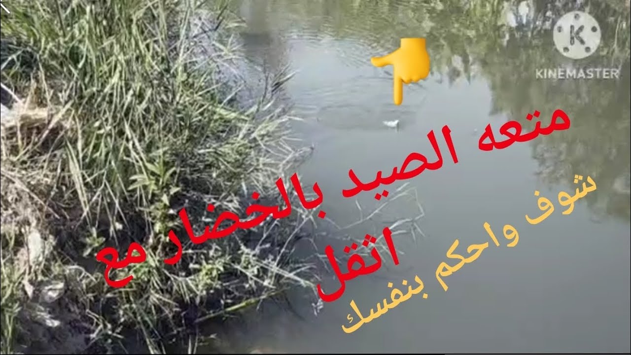 بسم الله الرحمن الرحيم فيديو جديد لصيد الاسماك بالخضار صيد ممتع للغايه تحياتي 