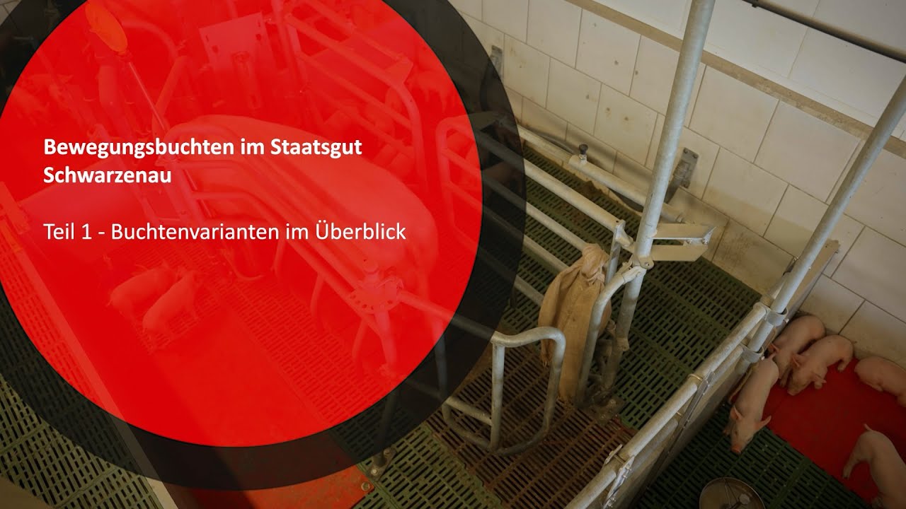 Bewegungsbuchten im Staatsgut Schwarzenau - Teil 1: Buchtenvarianten im Überblick