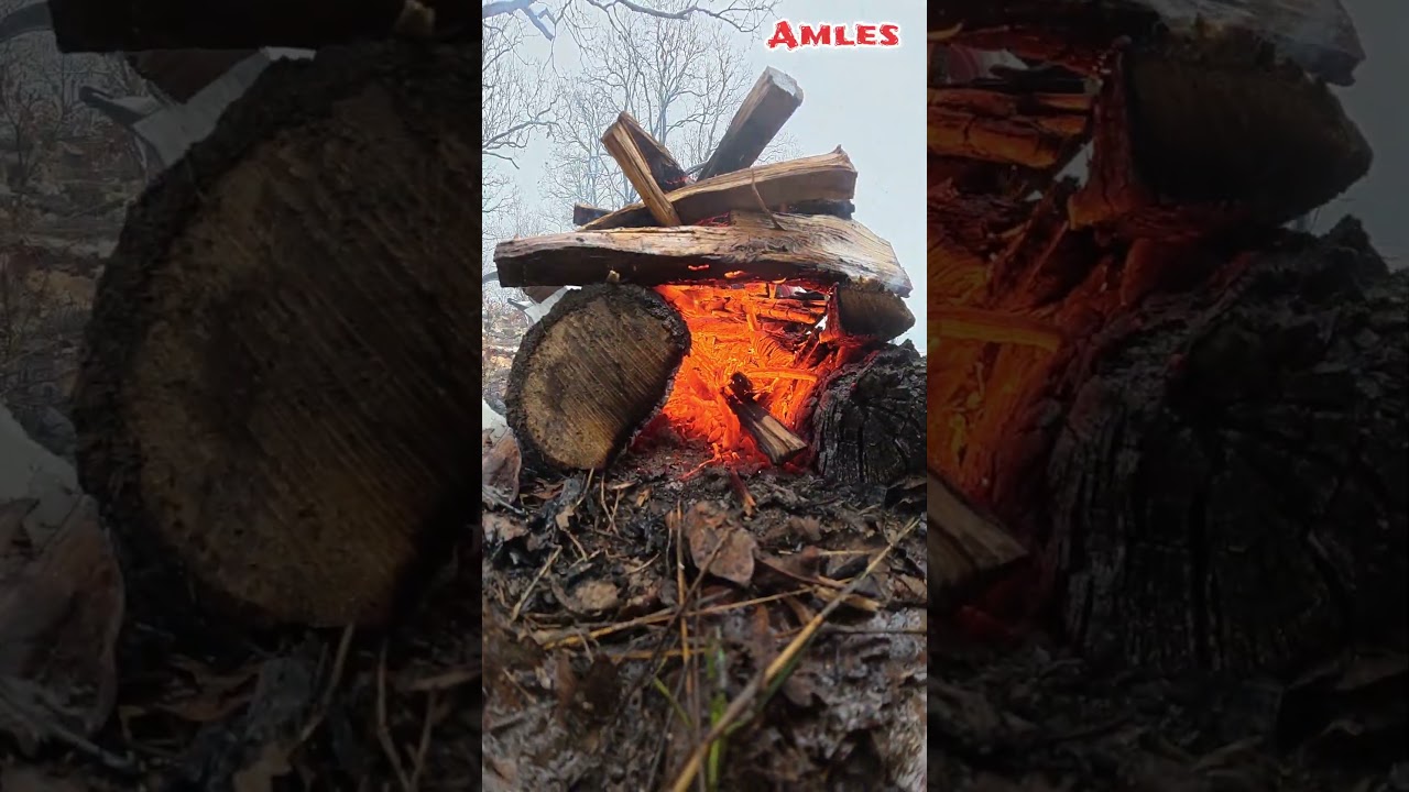 Ticho lesa | Silent Forest ASMR #amles #forest #asmr