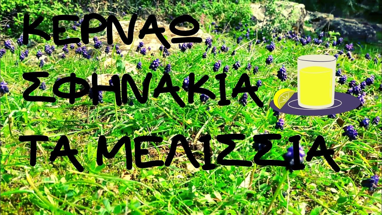 ΕΠΙΘΕΩΡΗΣΗ ΜΕΛΙΣΣΙΩΝ ΜΕΤΑ ΤΟ ΞΕΧΕΙΜΩΝΙΑΣΜΑ 1/3/21 🐝🐝🍺🍺