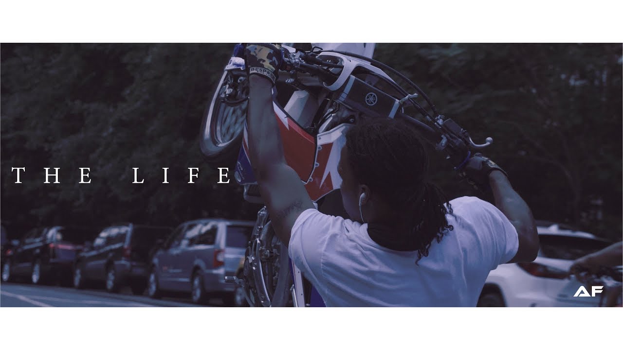 NYC BIKELIFE 