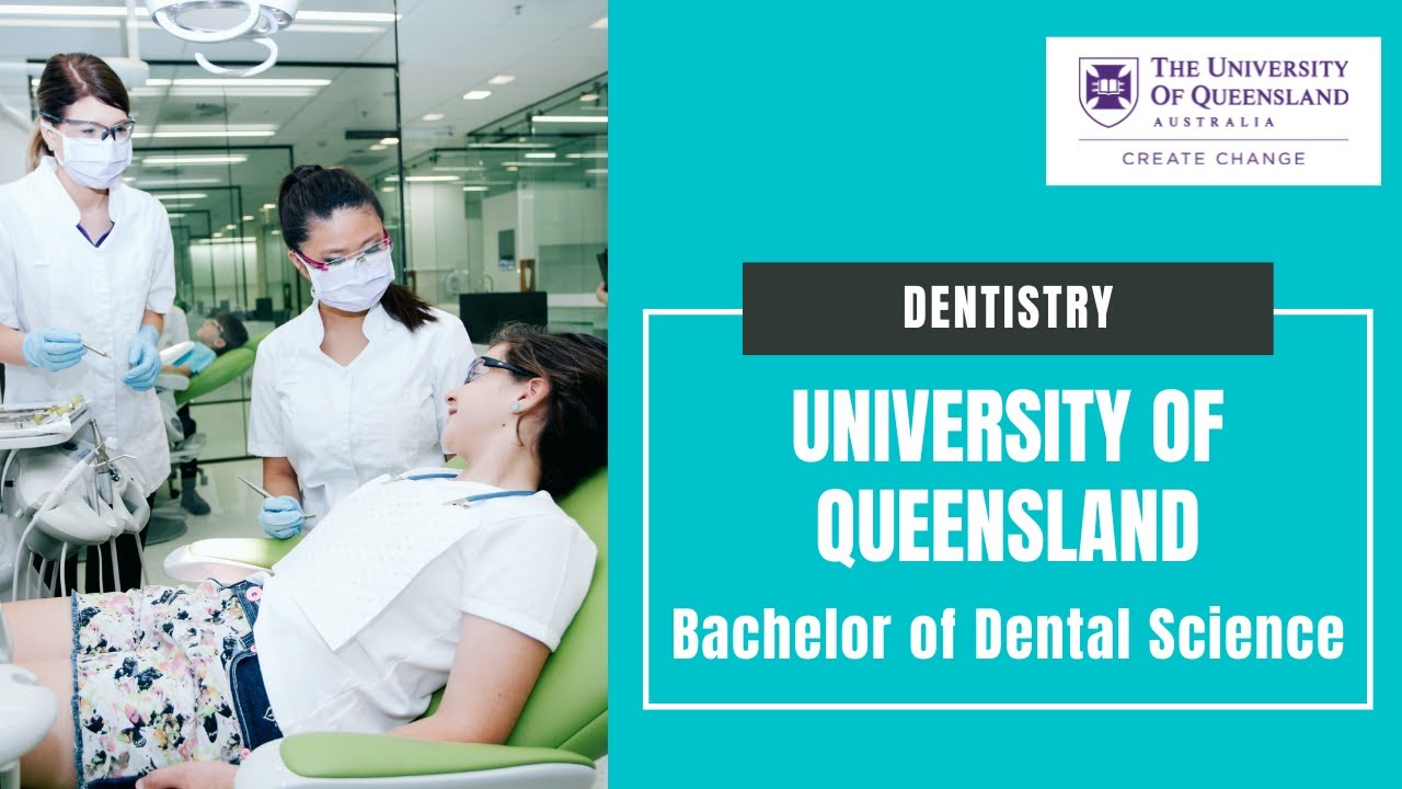 Dental School: Studying at the University of Queensland, Australia's Largest Dental Facility