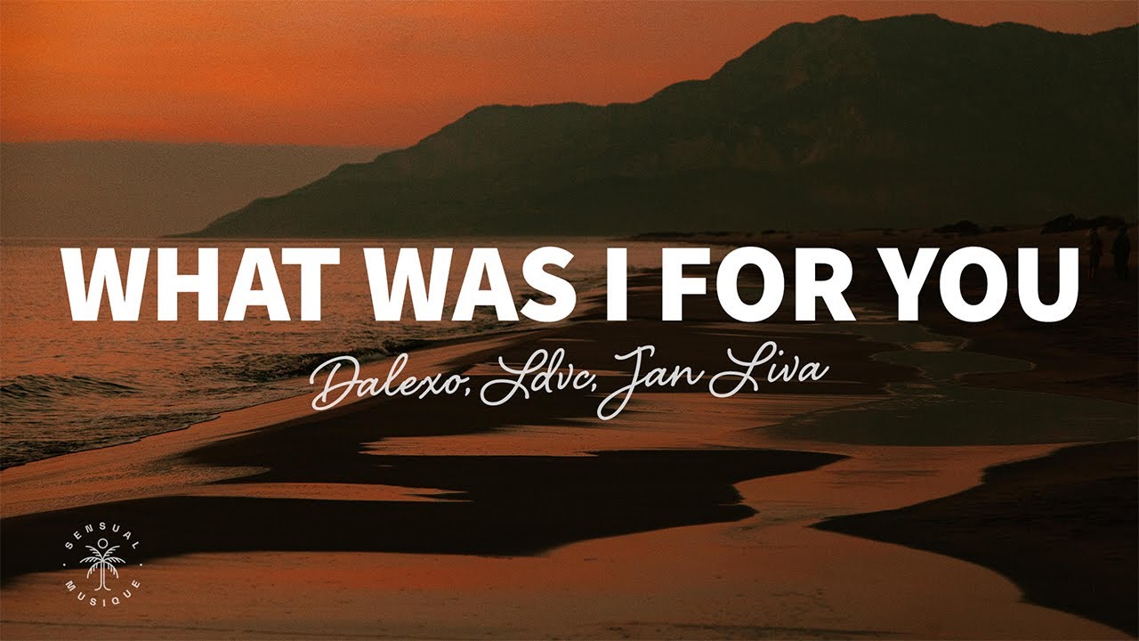 DALEXO, LDVC, Jan Liva - What Was I For You (Lyrics)