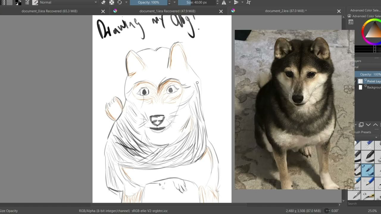 Noremi is DED [Drawing EveryDay 2] dog
