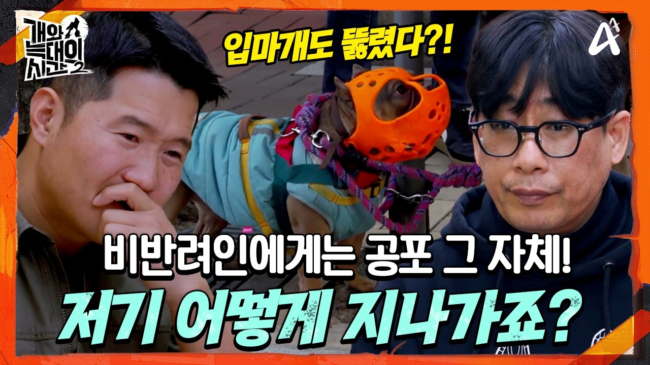 [#개와늑대의시간2] 길가다 묶여있는 강아지!🐕 위험할 수 있는 개는 절대! 도그파킹 하면 안 됩니다💥 | 개와 늑대의 시간 시즌2 10회