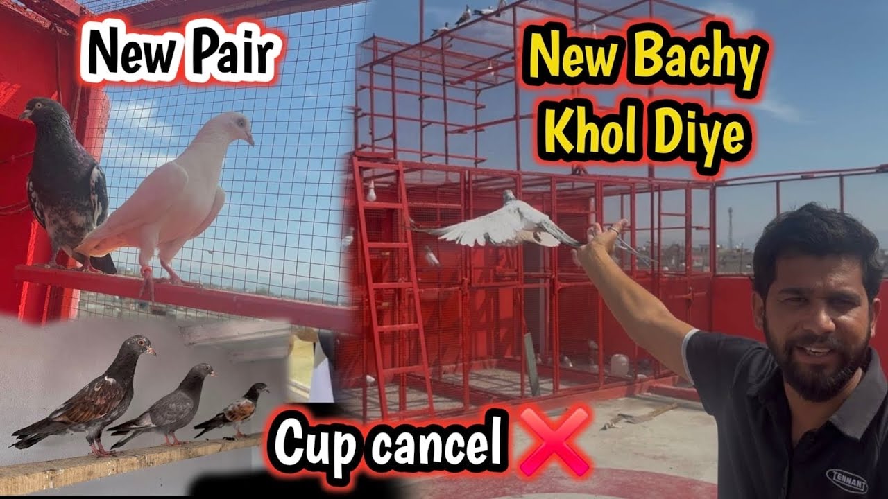Confirm Jora Lagaya 🕊️New Bachy khol Diye 🤲