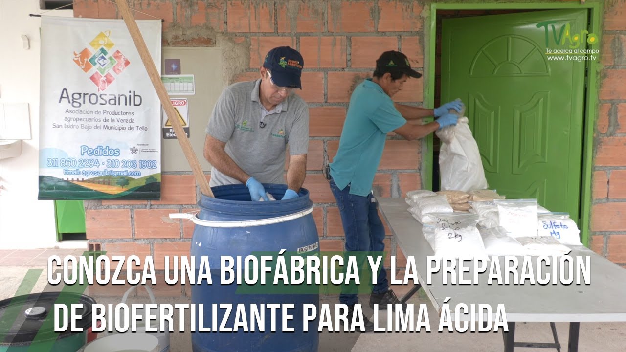 BIOFÁBRICA y la preparación de BIOFERTILIZANTE para LIMA ÁCIDA - por Juan Gonzalo Angel Restrepo