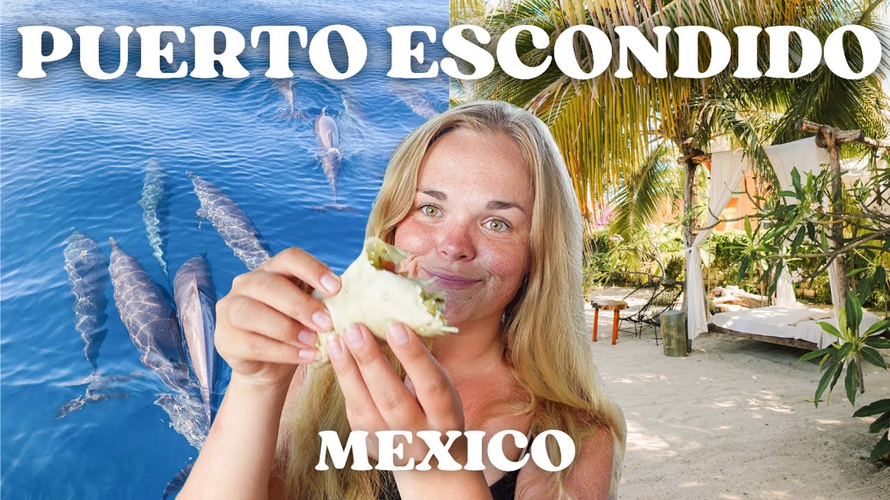 Puerto Escondido Mexico Travel Vlog | Dolphin tour, beaches & restaurants 🐬