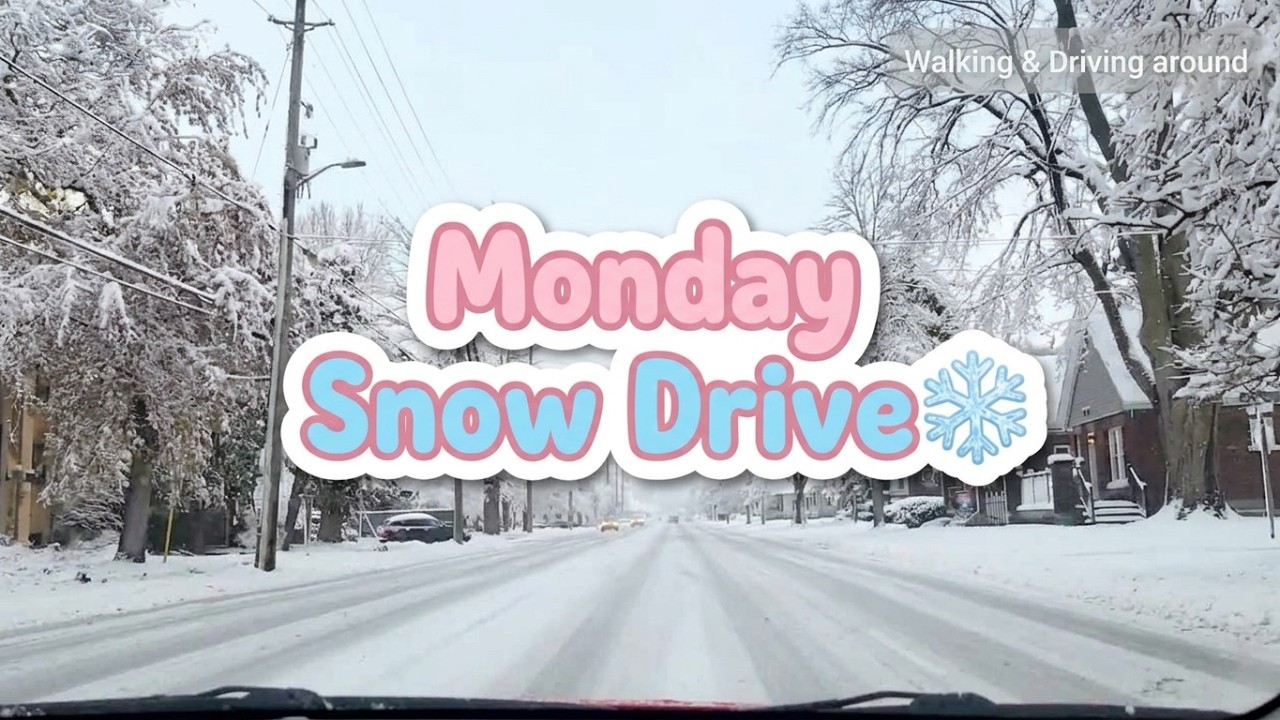 Monday starts with snow ❄️ | London, ON 🇨🇦