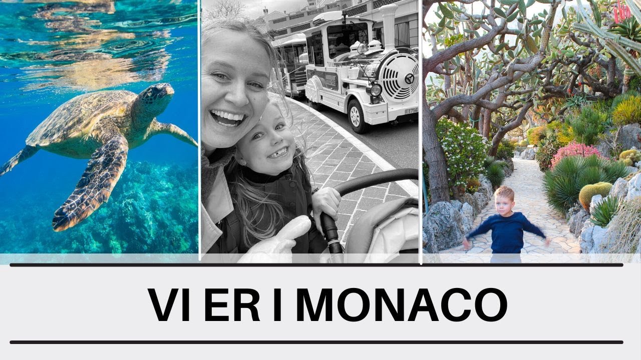 Oplev MONACO med os // Aquarium, sightseeing, paladset og turistog