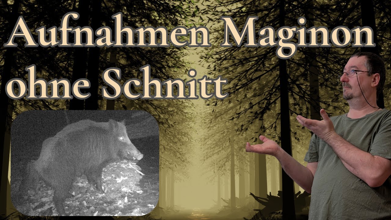 Videos für Katzen - Maginon alle Aufnahmen ohne Schnitt