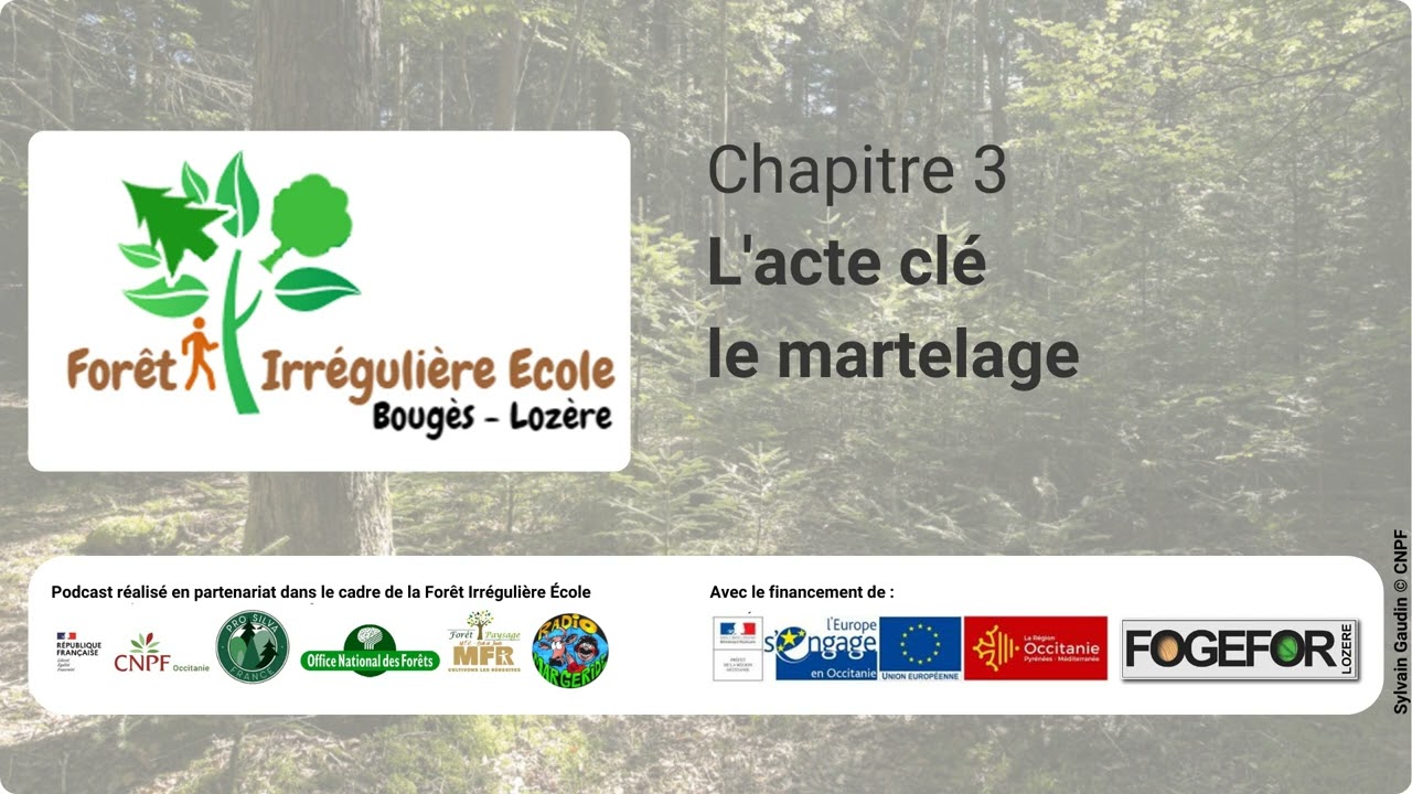 Podcast SMCC - Chapitre 3.1 - L'acte clé Le martelage - 6/12