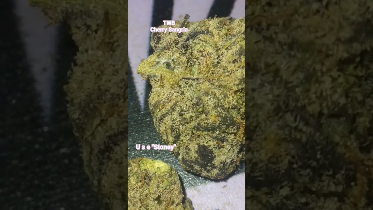 TWB Cherry Sangria THCA FLOWER Review #theweedbox THE WEED BOX