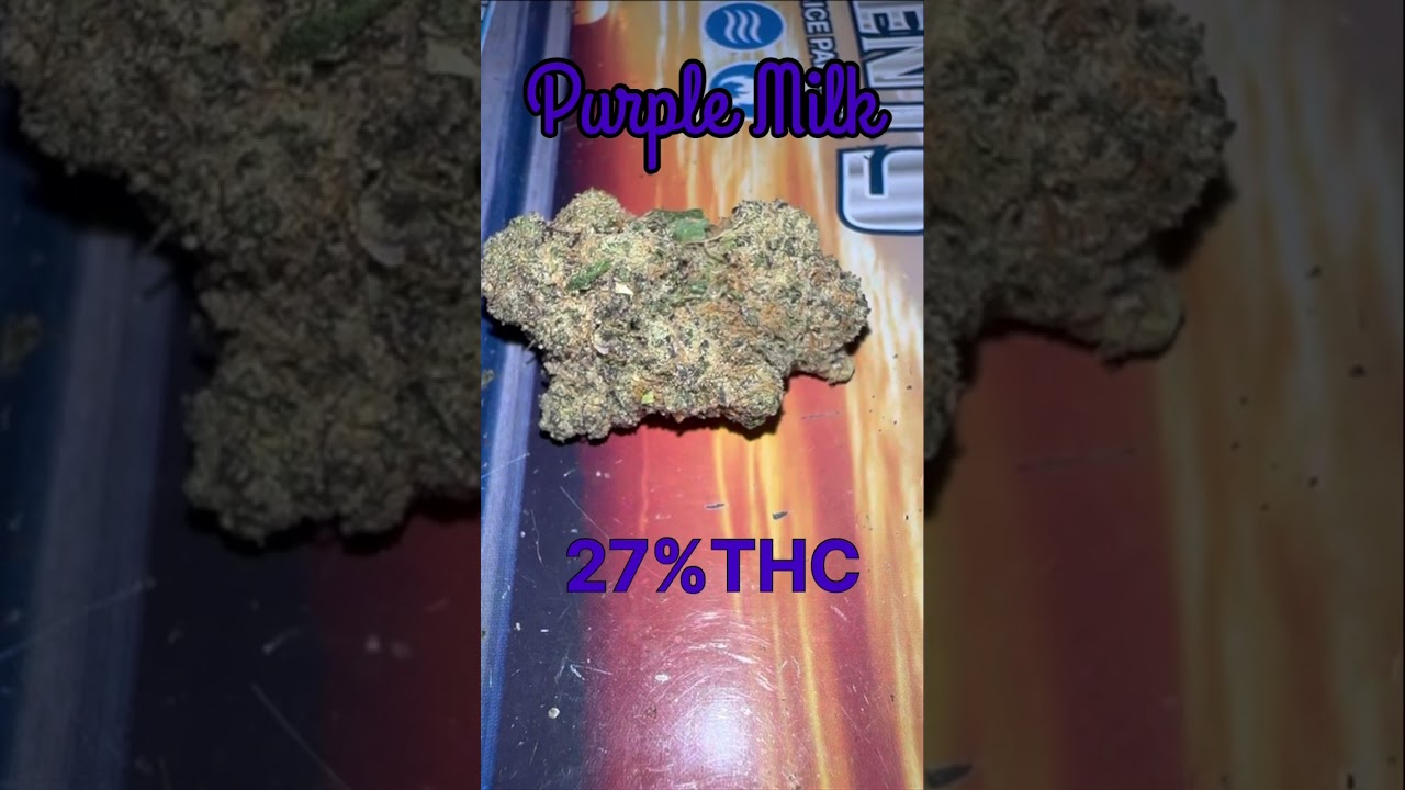 Purple Milk Cannabis Strain #strainreviews #cannabiscommunity420 #cannabiseducation #420