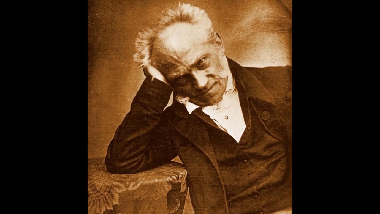 audiolezione Schopenhauer n&deg; 1: fonti, rappresentazione e categorie