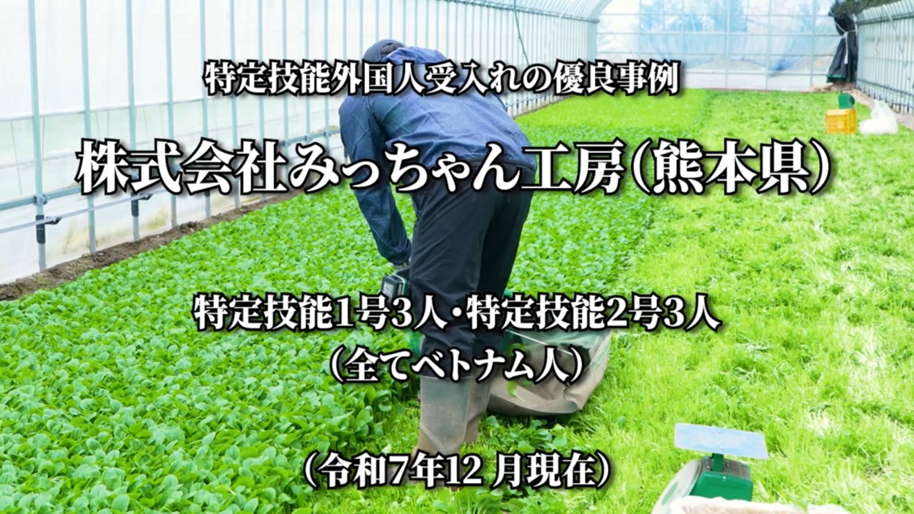 農業分野における特定技能外国人受入れの優良事例：(株)みっちゃん工房（熊本県上益城郡益城町）