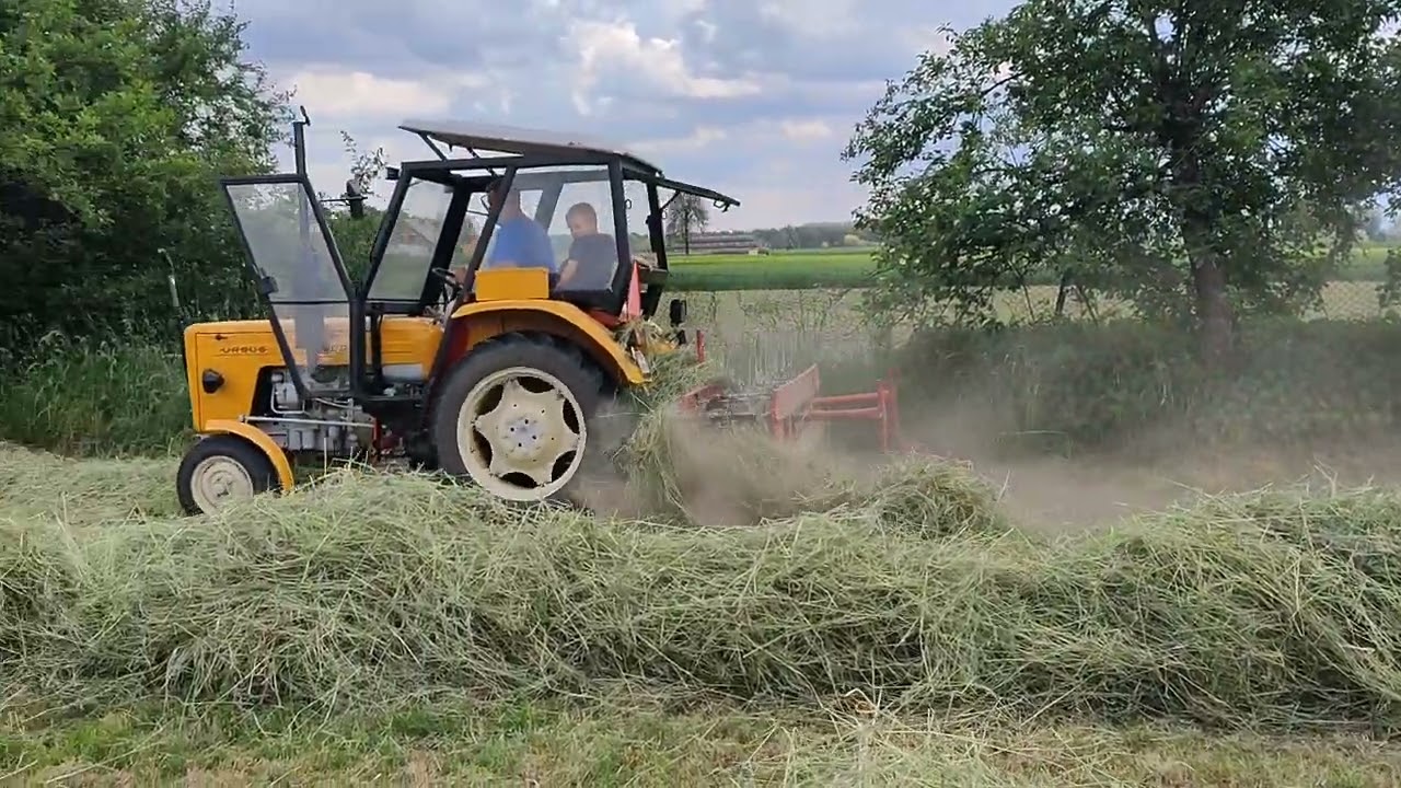 Sianokosy Zetor 3011 i zgrabiarka taśmowa Wirax