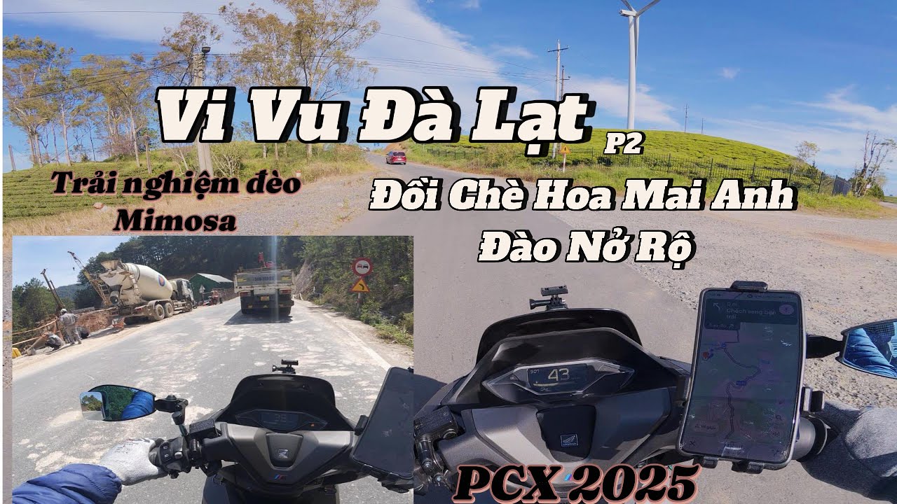 PCX 160 || VI VU ĐÀ LẠT, CẢM NHẬN MỌI THỨ  & ĐỒI CHÈ CẦU ĐẤT, TRẢI NGHIỆM ĐÈO MIMOSA || P2
