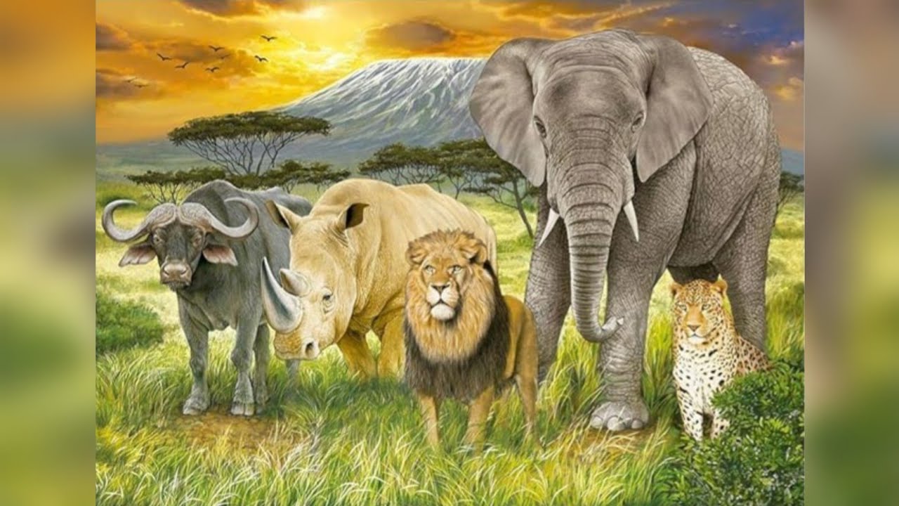 Quebra-Cabeça The Big Five de 1.000 peças (Grow) - Timelapse