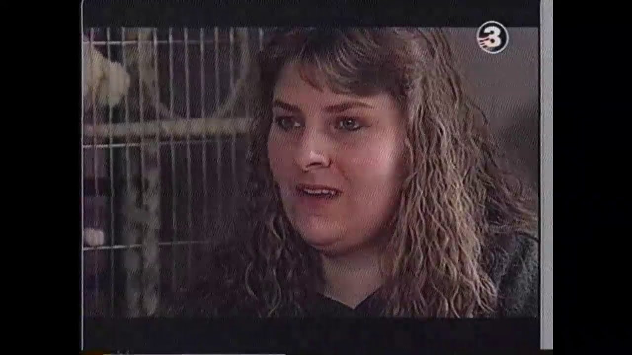 Larmet går TV3 Carina Rydebjörk 10 nov 1992