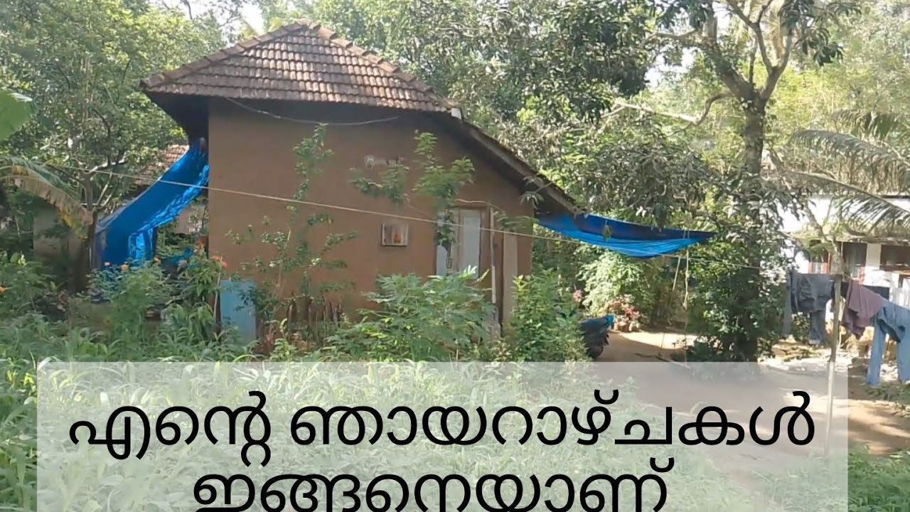 എന്റെ ഞായറാഴ്ചകൾ 😇#sunday #work #kitchen #cooking #lifestyle