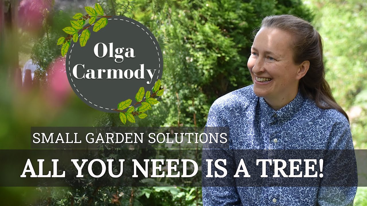 How to Create a Woodland Corner in the Garden! 👌[Helpful Tips]👌🌿