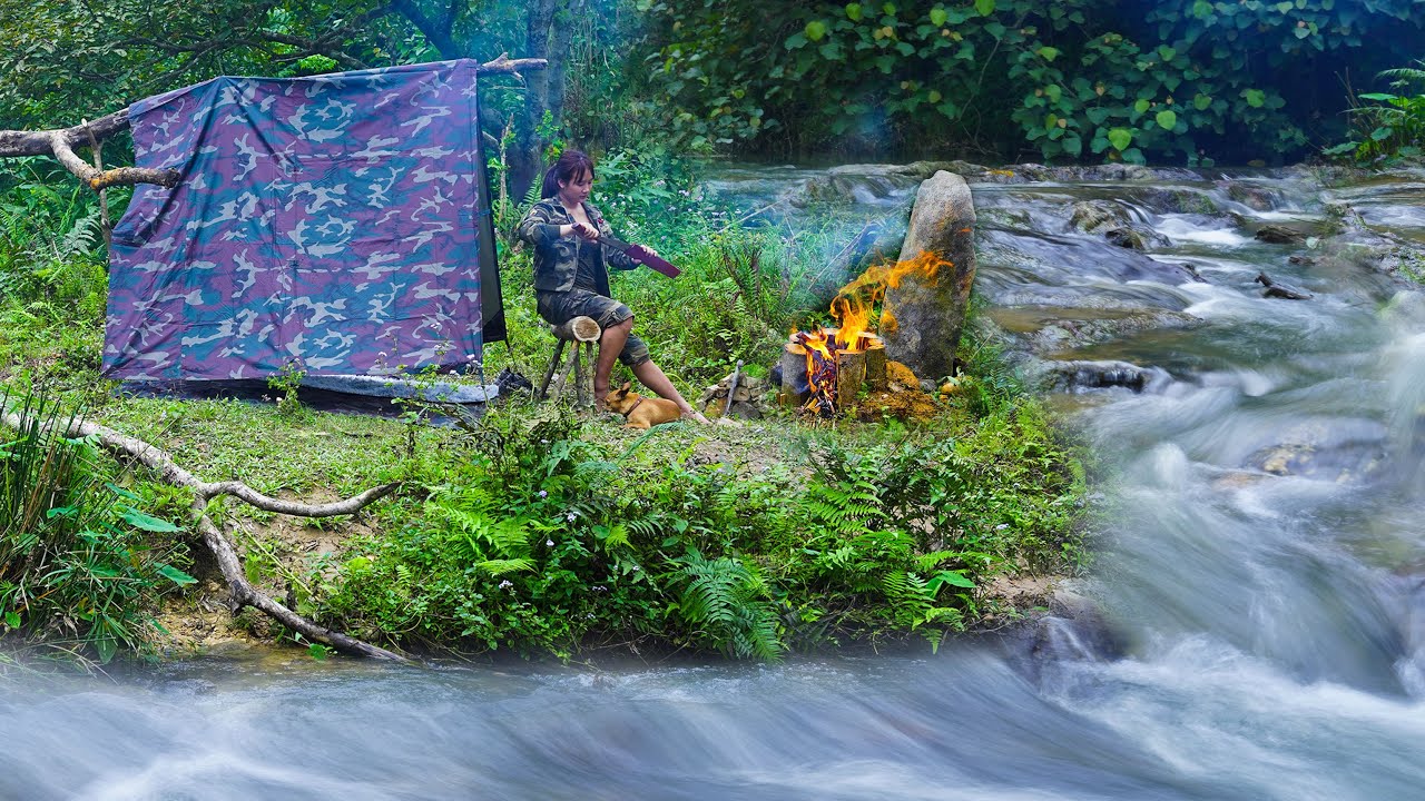 Solo Camping by a Stream, Relaxing and Roast Beef With The Sound of Nature, ASMR