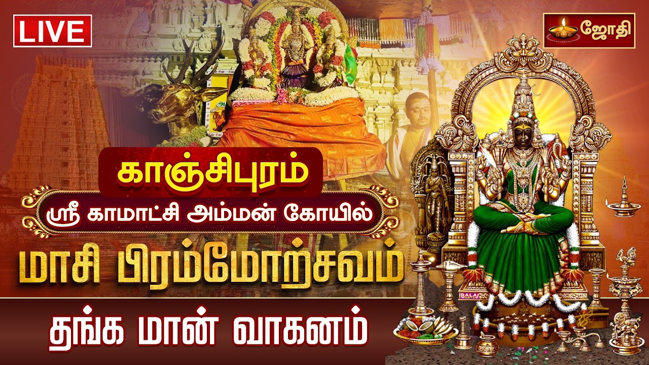 🔴LIVE: காஞ்சி ஸ்ரீ காமாட்சி அம்மன் கோயில் மாசி பிரம்மோற்சவம் தங்க மான் வாகனம் | Thanga Maan| Jothitv